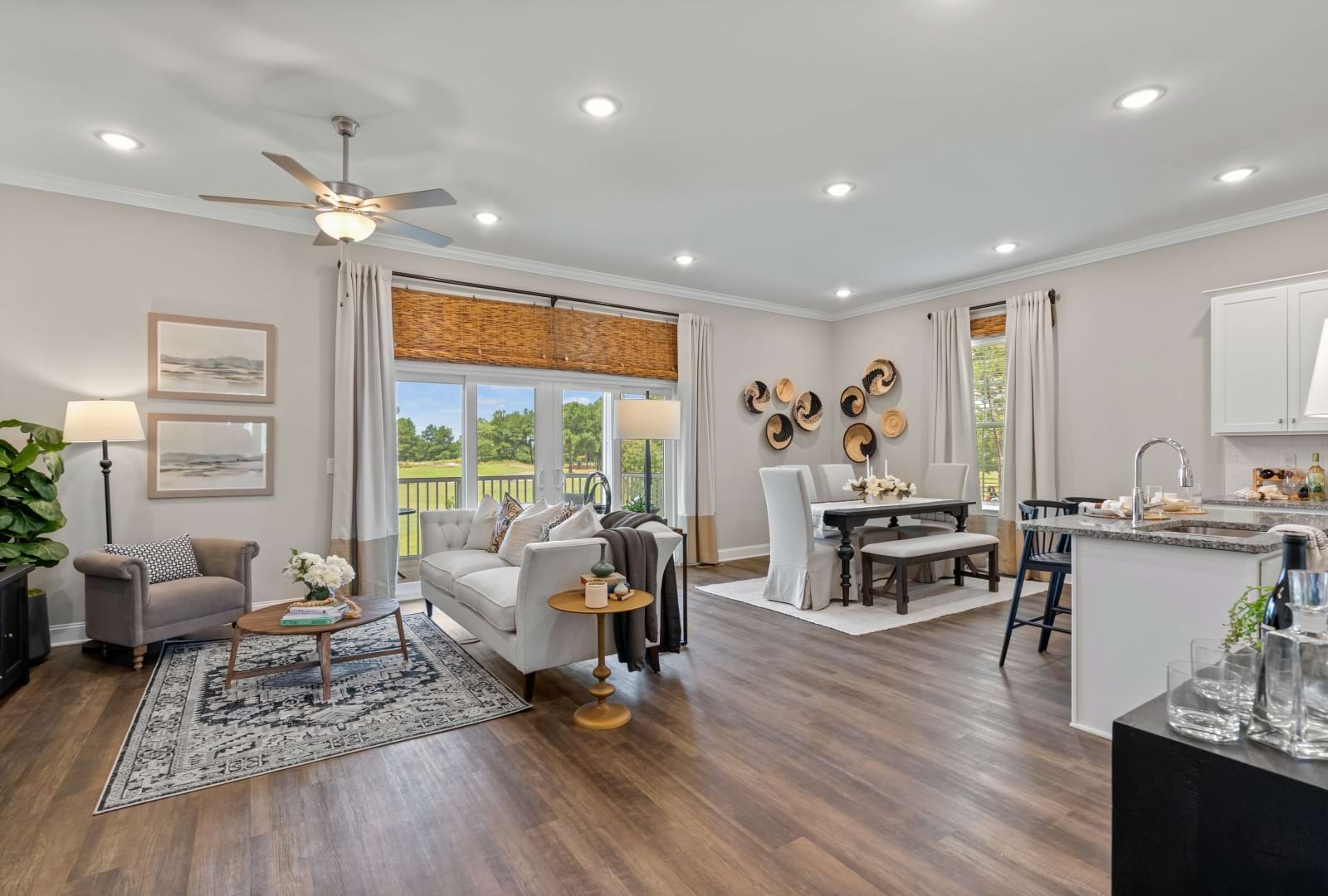 Living and Dining room