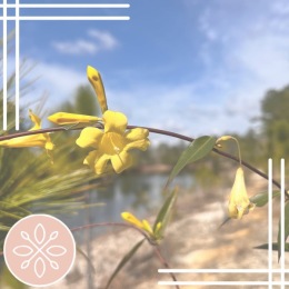 Instagram post from @moorlandreserve on March 26, 2024 08:58:38am