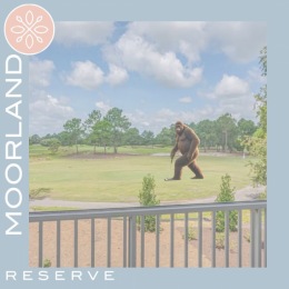 Instagram post from @moorlandreserve on April 01, 2024 11:05:02am